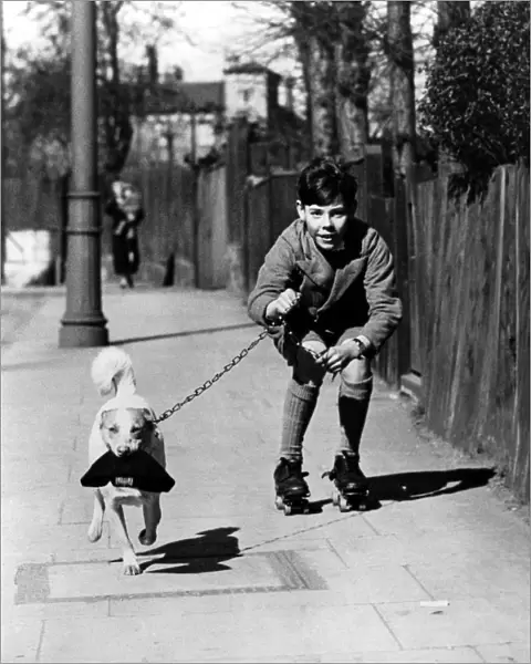 Boy rollerskating on the pavement with his pet dog on a lead, who is carrying