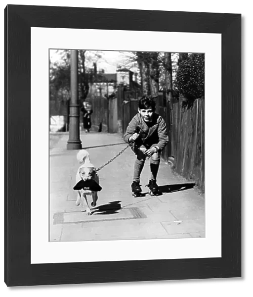 Boy rollerskating on the pavement with his pet dog on a lead, who is carrying