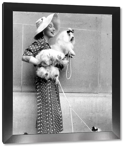 Paris dog show becomes fashion show 10th July 1954