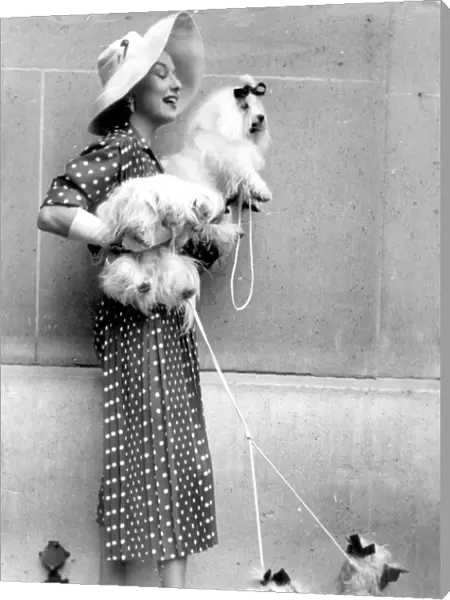 Paris dog show becomes fashion show 10th July 1954
