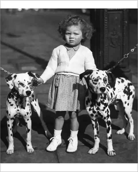 Child with dalmations. Three year old Jennifer Gulding of Cambridge makes sure these