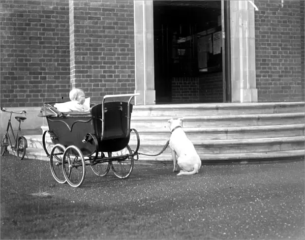 Dog and Pram 1934