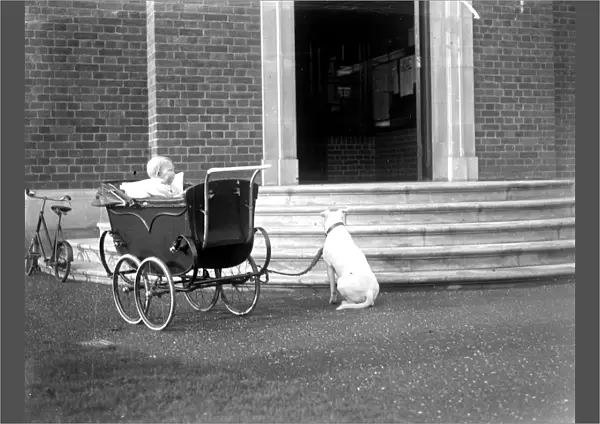 Dog and Pram 1934
