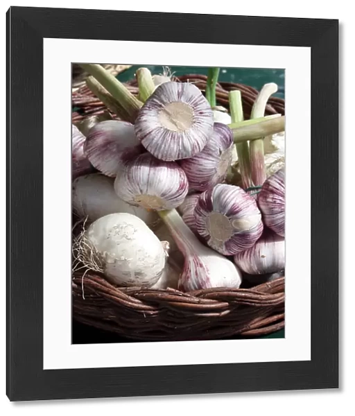 Basket of young whole fresh garlic showing freshly cut stems. Bougnt in Naples, Italy