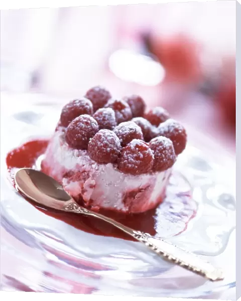Raspberry icecream topped with fresh raspberries as special party dessert. credit