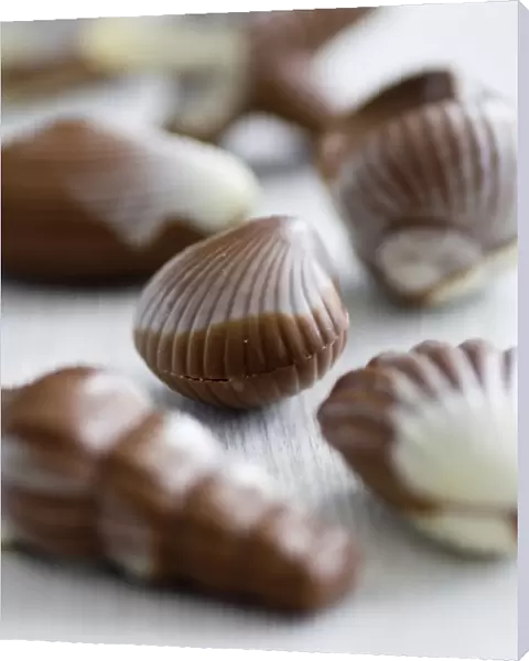 Selection of shell shaped chocolates on white surface. credit: Marie-Louise Avery