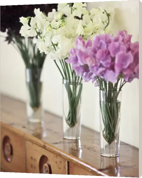 Three simple bunches of different coloured sweet peas in tall glasses on old wooden