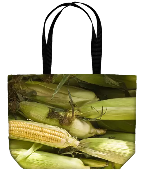 Fresh, whole sweetcorn in their husks credit: Marie-Louise Avery  /  thePictureKitchen