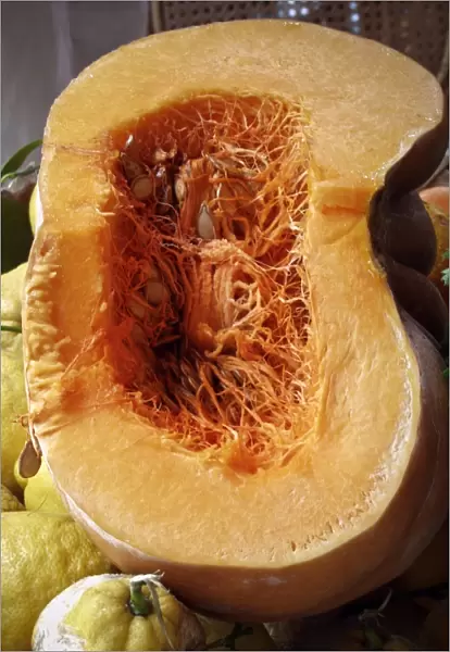 Huge pumpkin cut through showing fibrous interior with seeeds, surrounded by large