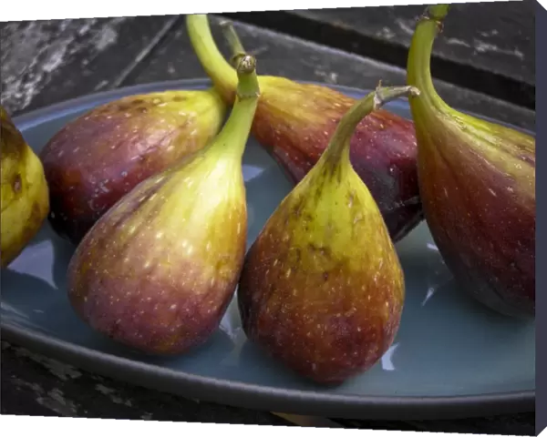 Fresh figs on pottery plate outside on garden table credit: Marie-Louise Avery