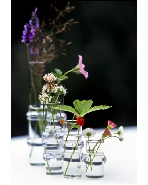 Wildflowers in glass vases credit: Marie-Louise Avery  /  thePictureKitchen  /  TopFoto