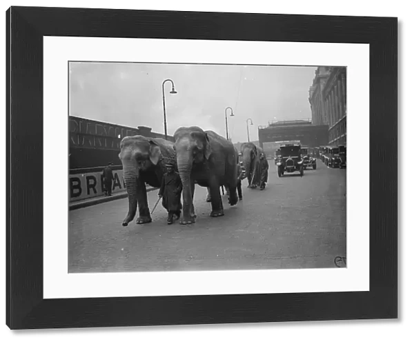 Unwieldly travellers ! Waterloo Station had rather a shock when four elephants arrived