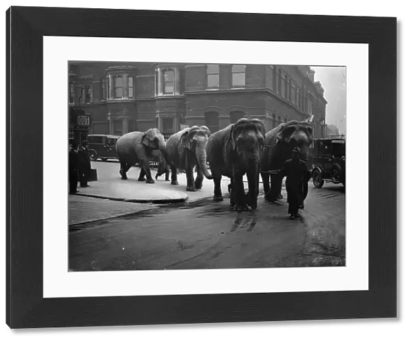 Unwieldly travellers! Elephants arrive at Waterloo. Waterloo Station had rather