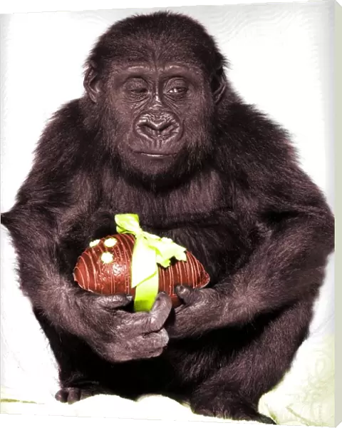Gorilla with easter egg
