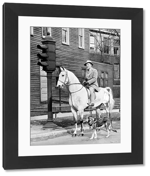 Mr Roberts Coleman on his horse Northern Star is halted at a Chicago road crossing
