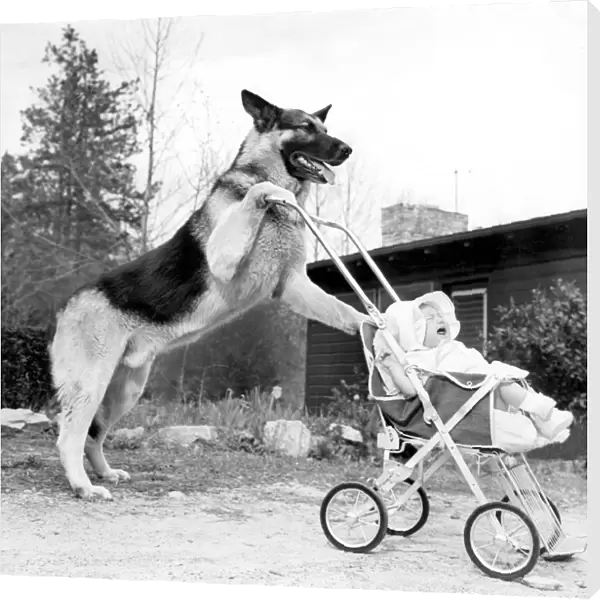 Perhaps Angela would like to go for a short stroll. Flash pushes the baby stroller