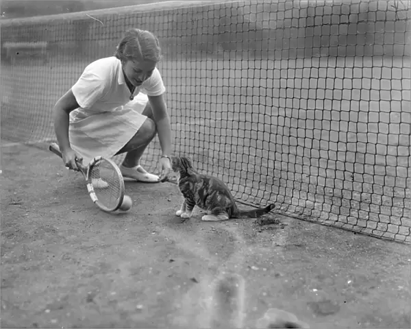 Cat with tennis ambitions chased Senorita Lizanas ball. Senorita Anita Lizana