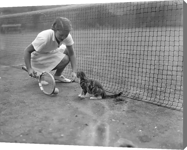 Cat with tennis ambitions chased Senorita Lizanas ball. Senorita Anita Lizana