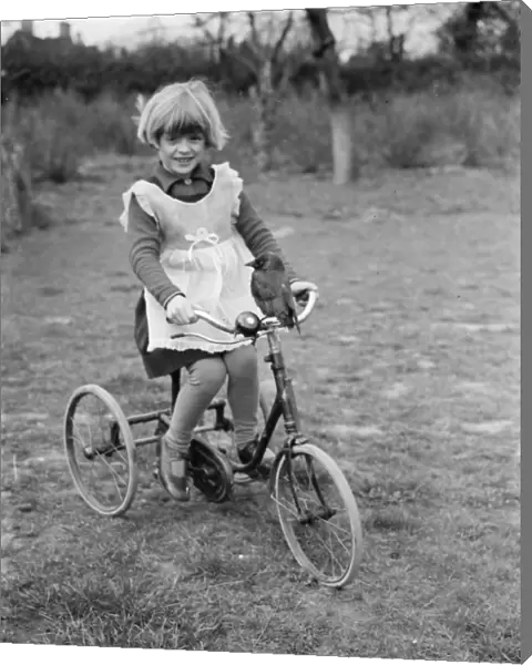 Little Ann Bowers playing on her tricycle with her tame jackdaw sitting on the handlebars