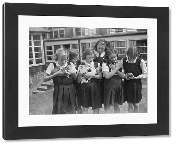 Schoolgirls with their pets at school. 1939
