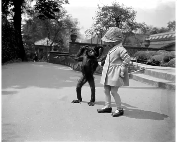 Sally the spider monkey takes a walk with a little girl at London zoo