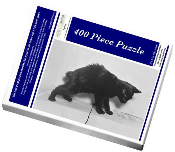 The bunny cat puzzles experts. Bunnycat is the name which has been given
