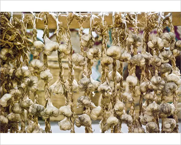Strings of garlic for sale in covered market in Limassol, Cyprus credit: Marie-Louise