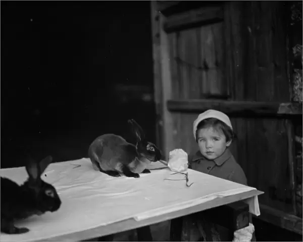 A little girl looks at the rabbits. 1937