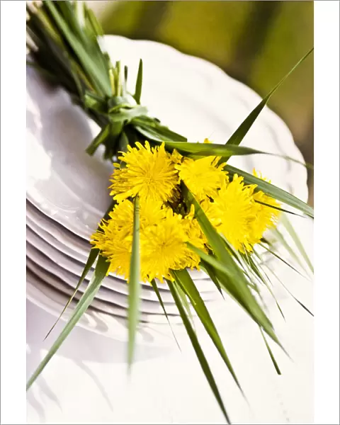 Bouquet of dandelions and long blades of grass on stack of white plates as table