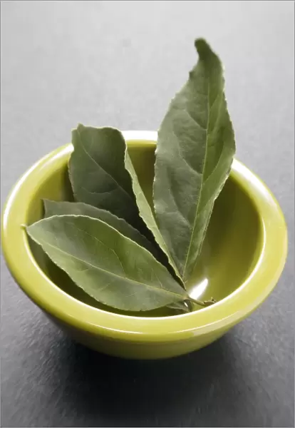 Bay leaves with small bowl on a dark plastic surface. Bay leaf (Greek Daphni, Romanian