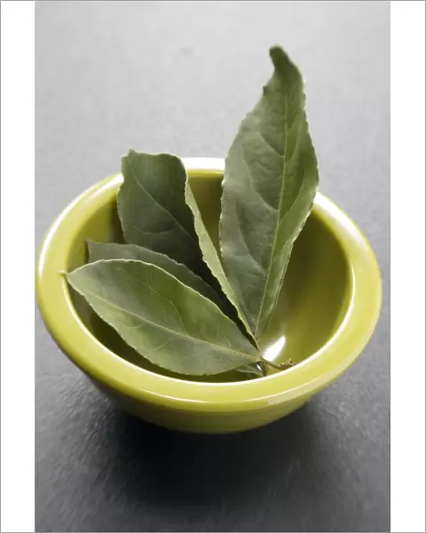 Bay leaves with small bowl on a dark plastic surface. Bay leaf (Greek Daphni, Romanian