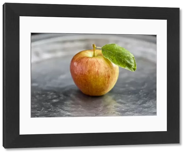 Apple with leaf on pewter charger credit: Marie-Louise Avery  /  thePictureKitchen