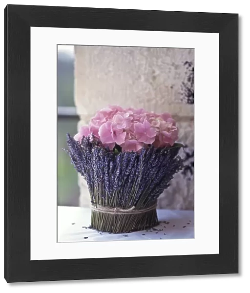 Flower arrangement of pink hydrangeas surrounded by lavender stems held onto pot