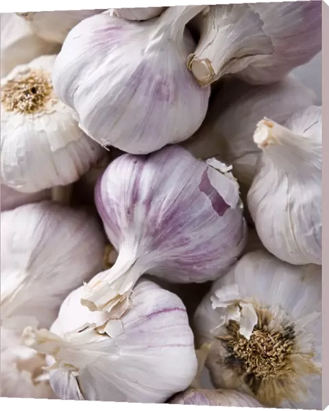 Lots of garlic bulbs credit: Marie-Louise Avery  /  thePictureKitchen  /  TopFoto