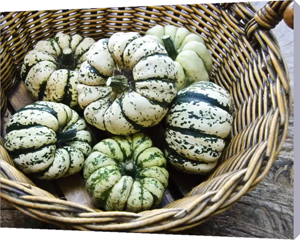 Large basket of decorative gourds credit: Marie-Louise Avery  /  thePictureKitchen