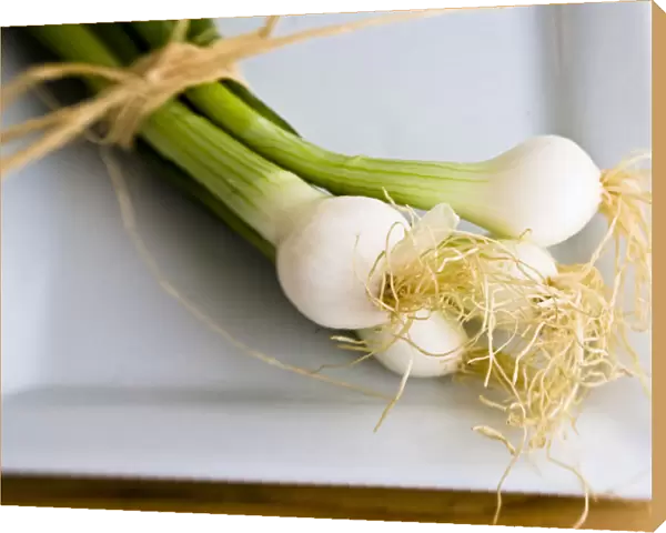 Small bindle of fresh salad onions on white plate credit: Marie-Louise Avery  / 