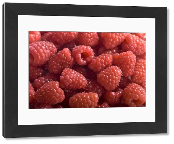 Fresh whole raspberries credit: Marie-Louise Avery  /  thePictureKitchen  /  TopFoto