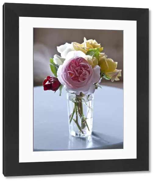 Bunch of garden roses tied with raffia in clear glass on painted table indoors credit