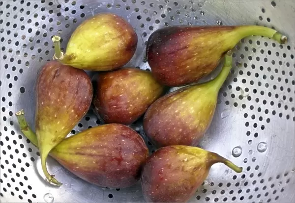 Figs draining in old aluminium colander credit: Marie-Louise Avery  /  thePictureKitchen