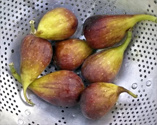 Figs draining in old aluminium colander credit: Marie-Louise Avery  /  thePictureKitchen