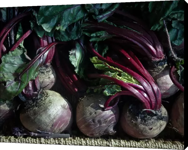 Fresh whole raw beetroot for sale in box outside traditional greengrocers shop credit