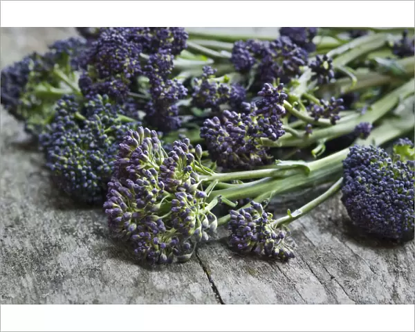 Fresh, raw, purple sprouting broccolli credit: Marie-Louise Avery  /  thePictureKitchen