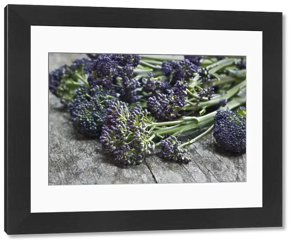 Fresh, raw, purple sprouting broccolli credit: Marie-Louise Avery  /  thePictureKitchen