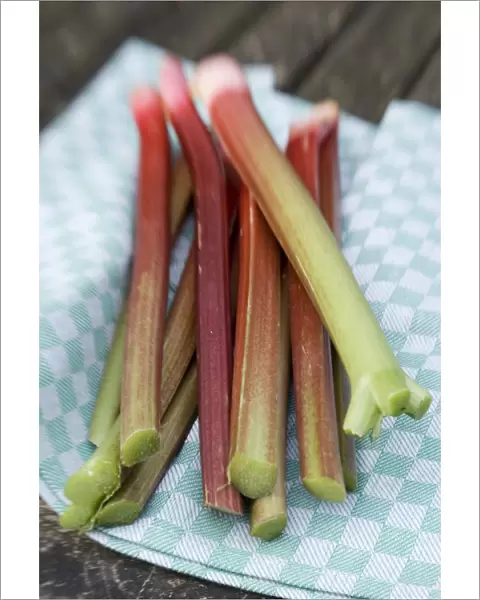 Freshly picked rhubarb stems on tea towel on garden table credit: Marie-Louise