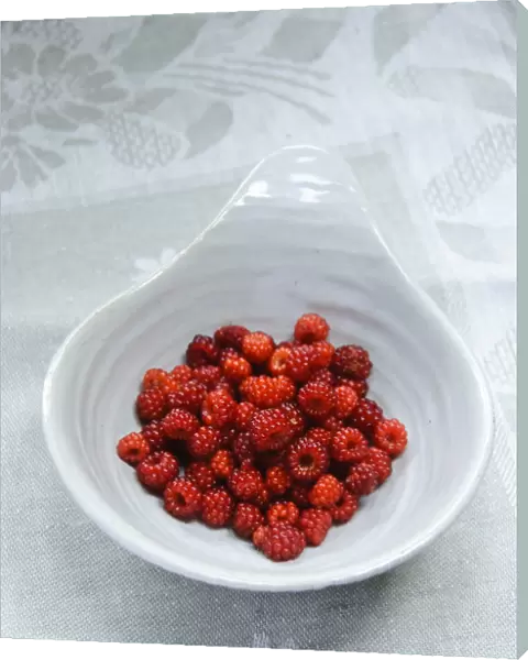 Japanese Wineberry (Rubus phoenicolasius) in small bowl credit: Marie-Louise Avery