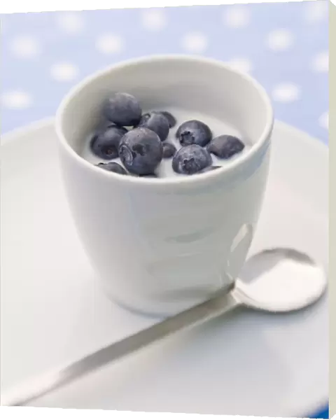 Summer breakfast of whole fresh blueberries in little bowl with cold milk credit