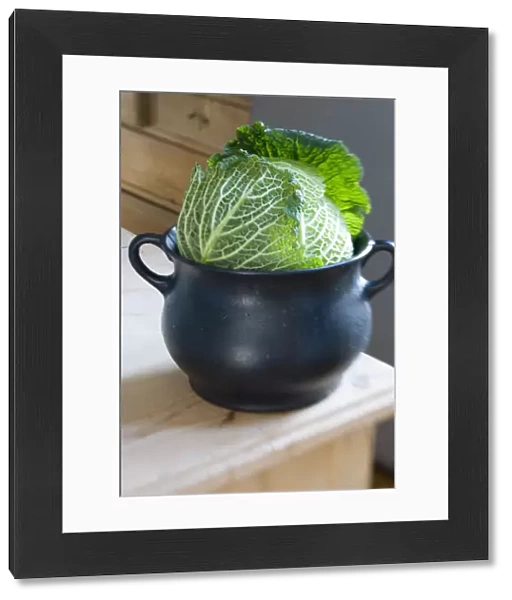 Cabbage sitting in iron cooking pot in kitchen credit: Marie-Louise Avery  /  thePictureKitchen