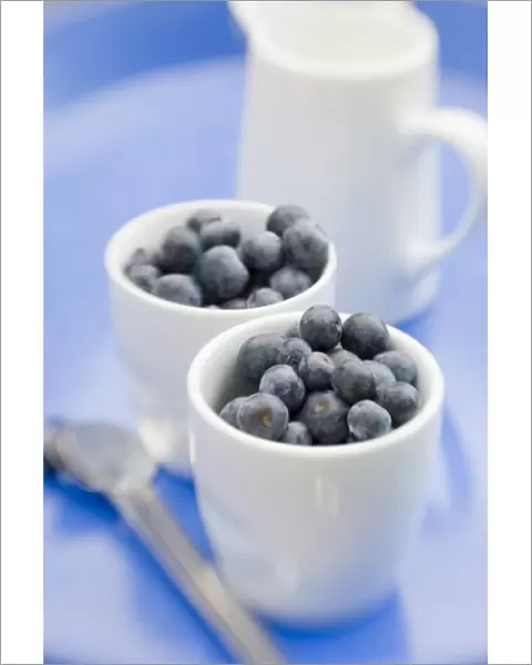 Fresh blueberries in little white pots with jug of milk or cream credit: Marie-Louise