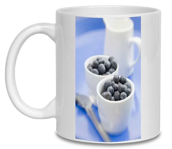 Fresh blueberries in little white pots with jug of milk or cream credit: Marie-Louise