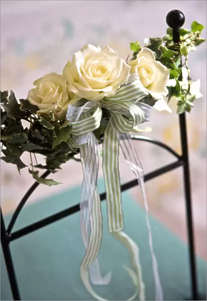 Three white rooses with stripey ribbons and ivy leaves as decorations tied to chair